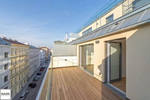 Luxuriöse 2-Zimmer Wohnung mit Terrasse ~ Abendsonne genießen ~ ab Neujahr verfügbar! B5nMsFxhgT