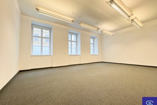 Loftähnliches 60m² Büro mit Kühlung und Hauszentralheizung - 1090 Wien Büroraum