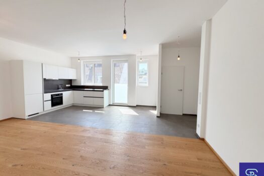 Moderne 68m² DG-Wohnung mit Einbauküche Nähe Pilgramgasse - 1050 Wien Wohnküche