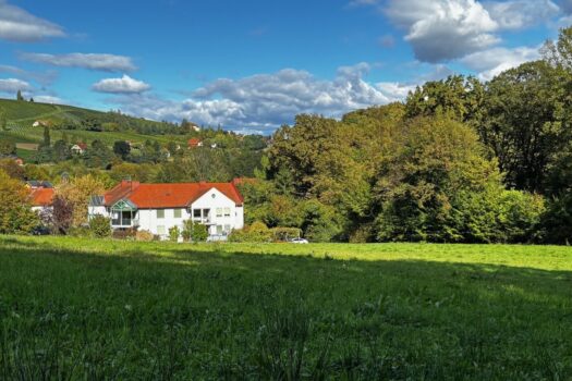 K6gHE9P0bLFUONXT7zP9D