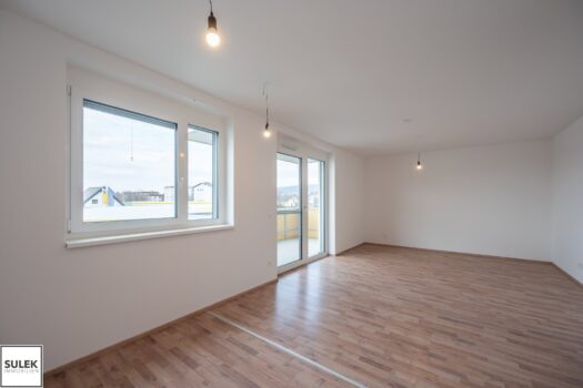 Sznh1QLT1exsKfoq30bCj