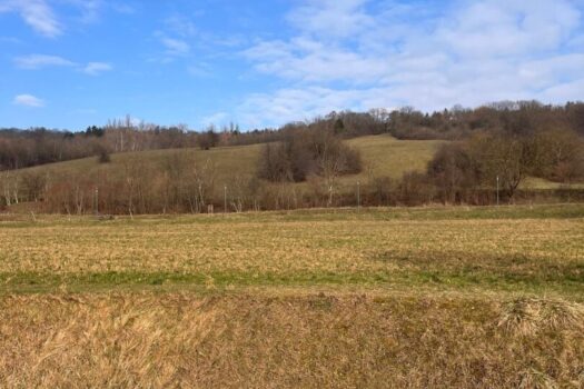 Exklusive Villa im Rohbau in Kierling – gestalten Sie Ihr Traumhaus nach Ihren Vorstellungen WaLZ4odriHnzzEZ121FeA