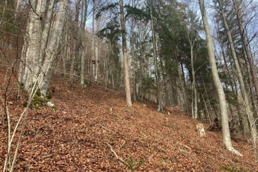 YBD2A7jkaTWLABZWeySjf