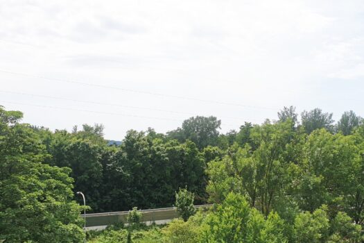 ZmYOdvvmqf8PXXZo9KZX5