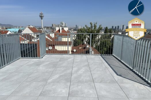 *Superprojekt: ''Über den Baumwipfeln Terrasse Top 52