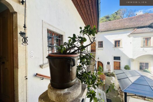 HISTORISCHES JUWEL IM HERZEN PERCHTOLDSDORF | VIERKANTHOF | HERRENHAUS DECUS - Immobilien
