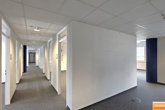 BÜRO / PRAXIS / TRAININGS - SCHULUNGSRÄUME IN DER GEISELBERGSTRASSE Eingangsbereich