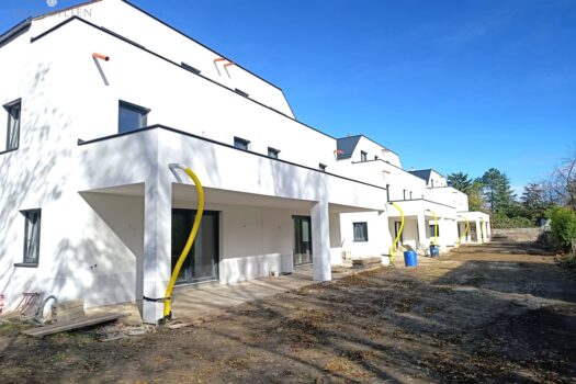 lemc1ivyAxnqvgSkZx354