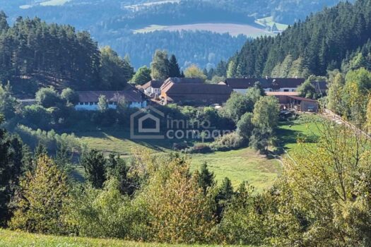 qyDXpLNfjZKuUMrjf5GZl