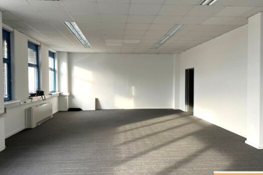 s91QOgpkHPUziUGlgUDtf