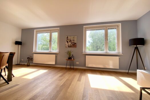 Singlehit 2,5 Zimmer Wohnung mit Kamin zYKpTmwi6DzskeFgulHVi