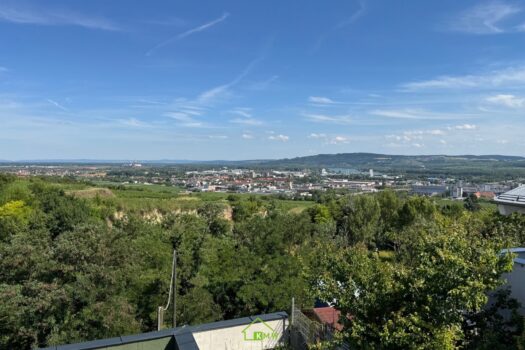 zedpQKc934NUL3URmZUZe