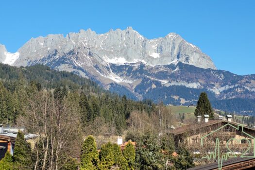 11rYPZeTG60uM63r8BFyyy