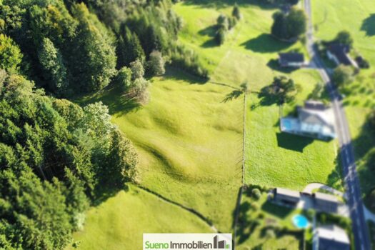 Drohnenfoto Baugrund Wiese - Wald