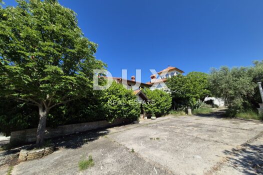 1749469140 20250514 104041