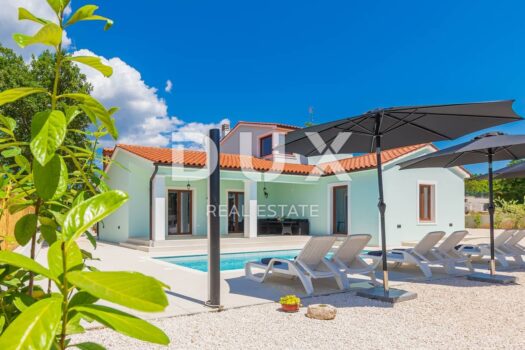 1749475047 dsc 3146 zauc06 l zpzus8