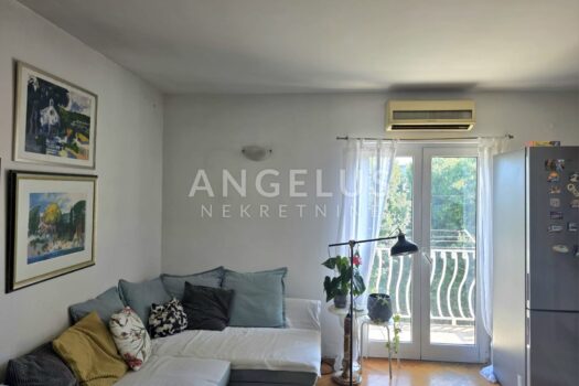 1753436197 photo 2025 07 24 18 19 36 2