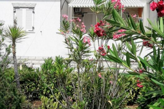 1761322892 1000192412