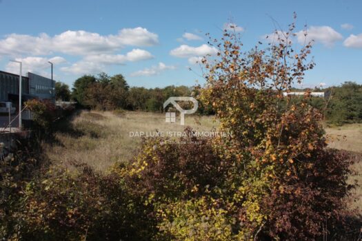 1761529488 img 71931