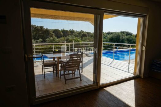 1761860003 11f9b095 ddc7 448a b560 abe2de4598b8