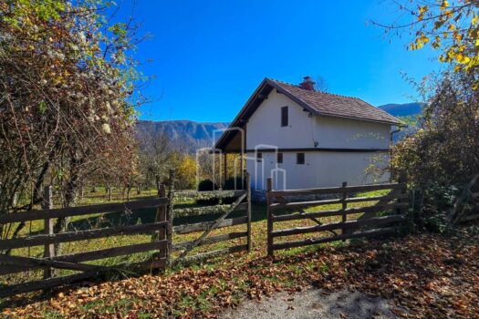 1762003762 img 20251101 wa0046