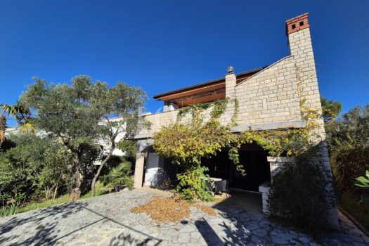 1762078000 1534428905 557595 0