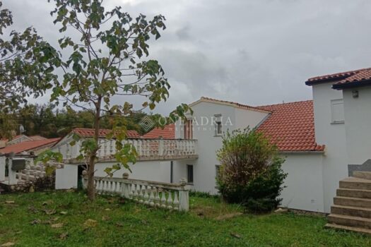 1762164369 25b01282 7a75 4269 bd06 0a8e312365ba