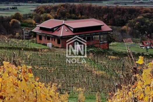 1762193712 img 20251103 113314