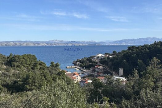 1762258079 solta donja krusica