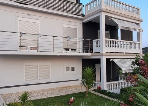 1762260407 kuca kampor 359