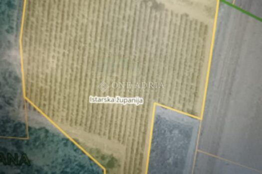 1762512457 972b1fc9 6988 4728 8202 0c98a1346b42