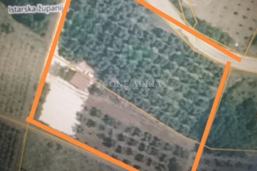 1762512794 82a4ebac fc8a 40d5 9af5 4220afacf71c