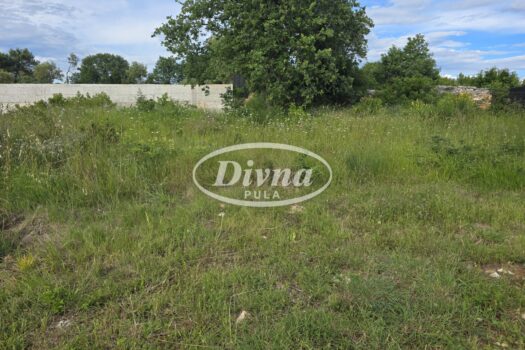 1762517236 20250529 172118