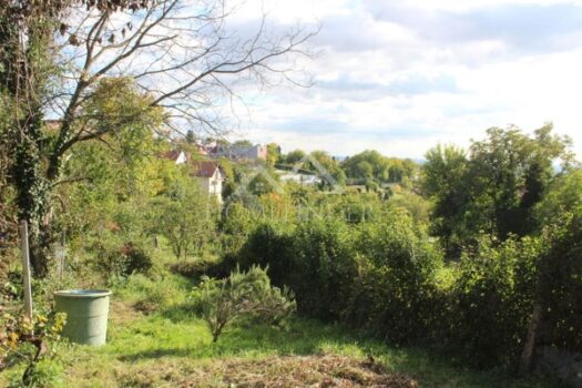 1762617785 38b4842c 3848 4114 a085 da6cdaf3a3dd