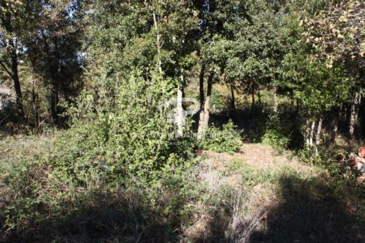 Ližnjan Ackerland 502m2 mit Wasseranschluss 1762707173 img 7425