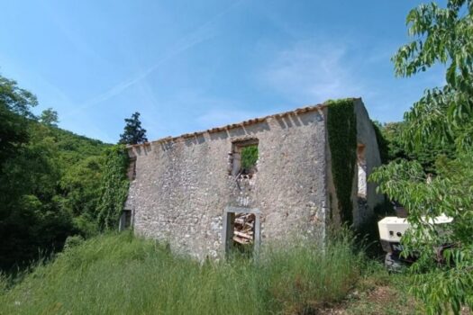 1762764818 035a0a02 e410 4779 a697 837660525b22