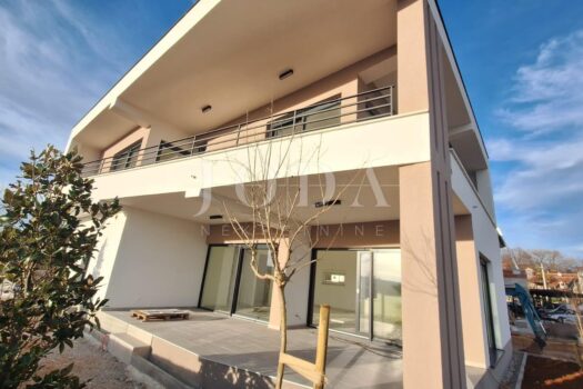 1762793745 786764921 405638 0