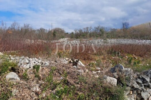 1762796149 1897088857 400004 0