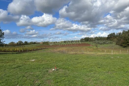 1762849286 prodaju se 2 gradevinska zemljista u medvidici slika 405604