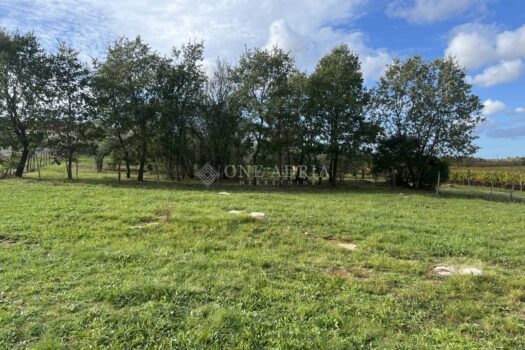 1762850020 prodaju se 2 gradevinska zemljista u medvidici slika 405671