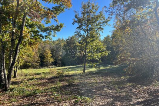 1762853833 d733e3b8 5010 4d16 b7bf 012362bd8d97