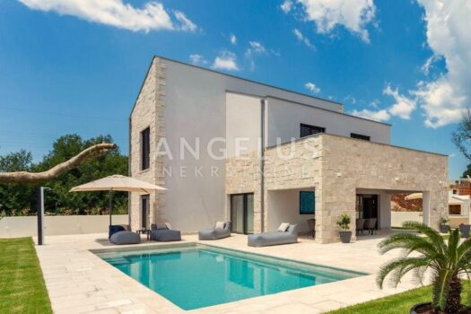 1762946372 1737538658 1