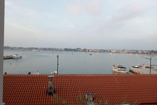 1762968821 thumbnail 2