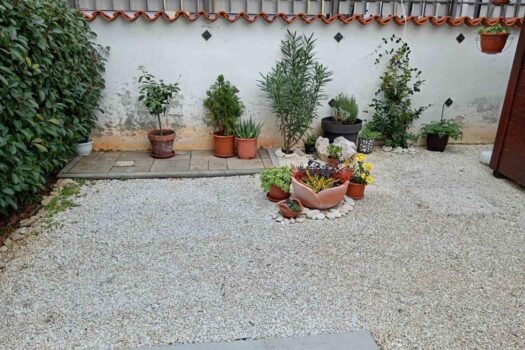 1763040991 thumbnail 13