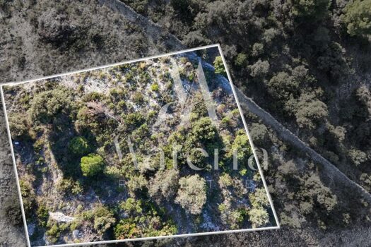 1763124156 whatsapp image 2025 11 14 at 08