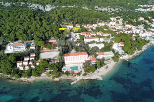 1763131313 dji fly 20251114 135006 947 1763124654957 photo optimized