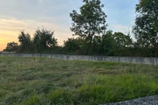 1763204872 thumbnail 3