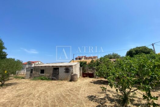 1763319160 whatsapp image 2025 11 16 at 19