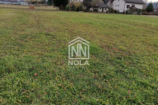 1763388719 img 20251115 112745