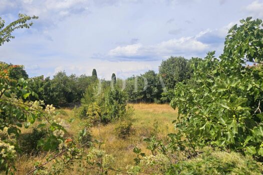 1763397683 273227589 611757 0